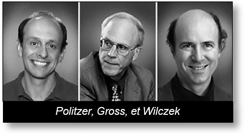 Quanks and Gluons: Politzer Gross Wilczek
