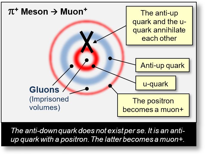 Decay of a pion+ to a muon in a concentric scheme
