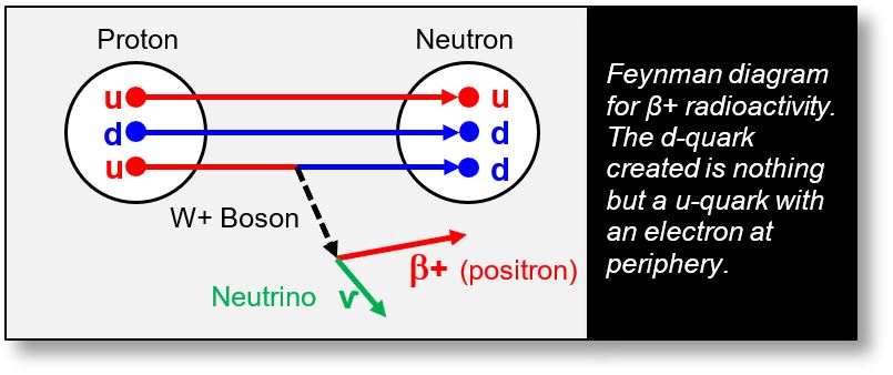 Feynman diagram of a proton-neutron decay